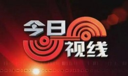 爆料今日视线最新消息,最新热点事件深度解析