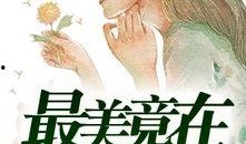 吃瓜娱美小说免费阅读,小说免费阅读，揭秘娱乐圈背后的故事