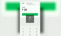 最新大爆料视频下载网站,最新大爆料视频下载网站全解析