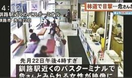 木偶师最新爆料视频,最新爆料视频带你领略幕后精彩