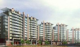 西安楼市爆料最新消息,揭秘房价走势与热门项目曝光