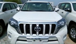 新款霸道爆料视频播放大全,全方位视频解析，尽览全新霸主风采