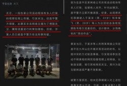 二驴爆料老葛视频播放在线观看,老葛视频播放，独家在线观看攻略