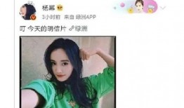 吃瓜娱乐八卦的视频下载,娱乐八卦背后的下载攻略