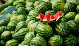 bingo网红吃瓜,娱乐圈幕后真相曝光