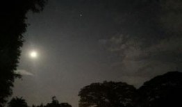 《夜色》在线观看,沉浸式体验都市光影下的情感纠葛