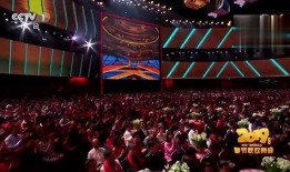 春晚人员爆料视频播放,揭秘幕后精彩瞬间