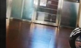 哈尔滨爆料女孩视频曝光,哈尔滨爆料女孩视频引发热议