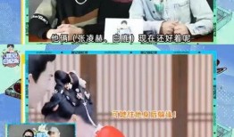 狗仔爆料白鹿最新动态图