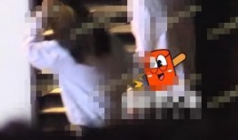 狗仔刘大锤爆料视频全集,视频全集大揭秘