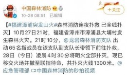 漳州最新爆料事件新闻视频,事件真相揭秘，视频曝光惊人内幕