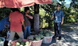 武都网红吃瓜群众事件真相,真相背后的网络舆论风暴